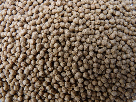 wheat germ pellets