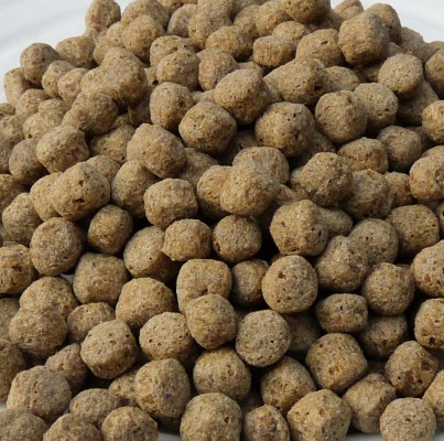 wheat germ pellets